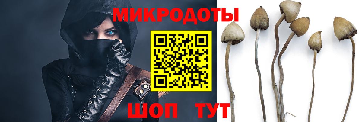 Урус-Мартан  Галлюциногенные грибы MAGIC MUSHROOMS  даркнет сайт  Галлюциногенные грибы MAGIC MUSHROOMS  Вход с VPN 